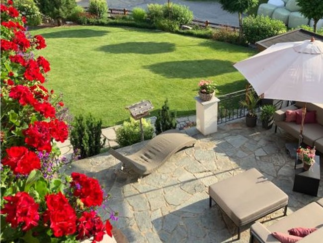 Sonniger Garten mit Blumen